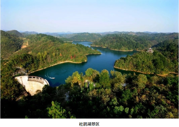 微信截图_20241106143958