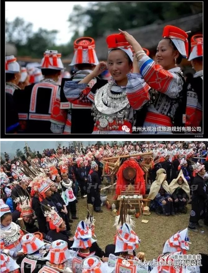 微信截图_20241106140915