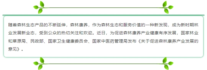 微信截图_20241106150353