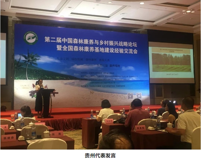 微信截图_20241106144214