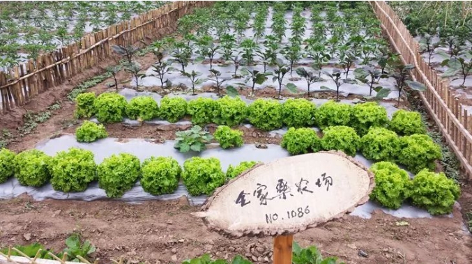 微信截图_20241106152318