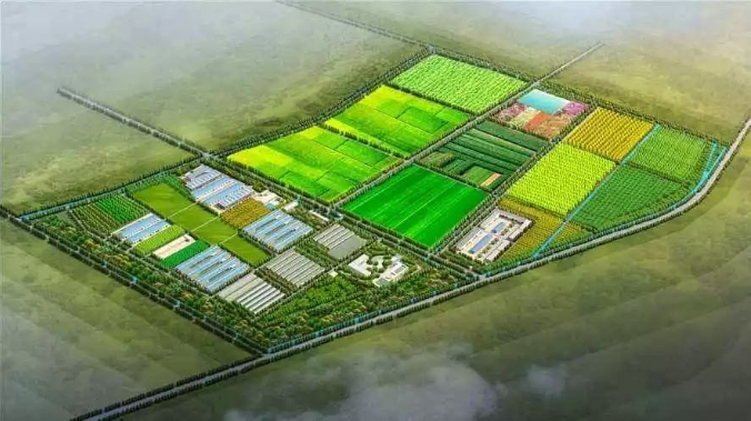 微信截图_20241106152208