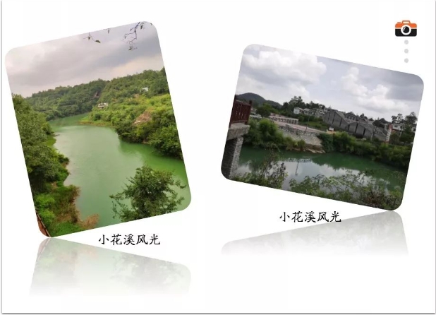 微信截图_20241106143604