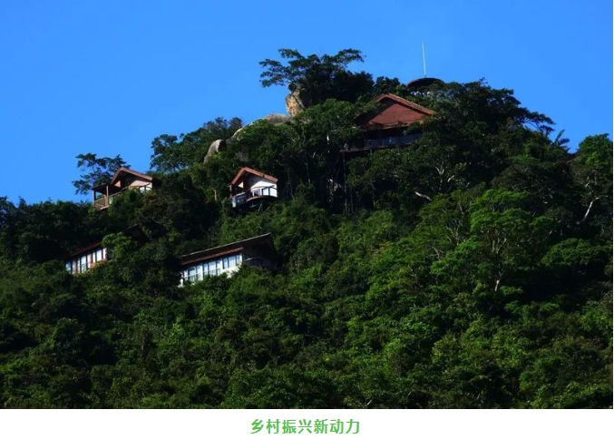 微信截图_20241106150523