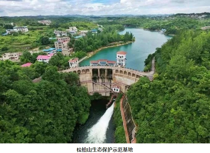 微信截图_20241106144033