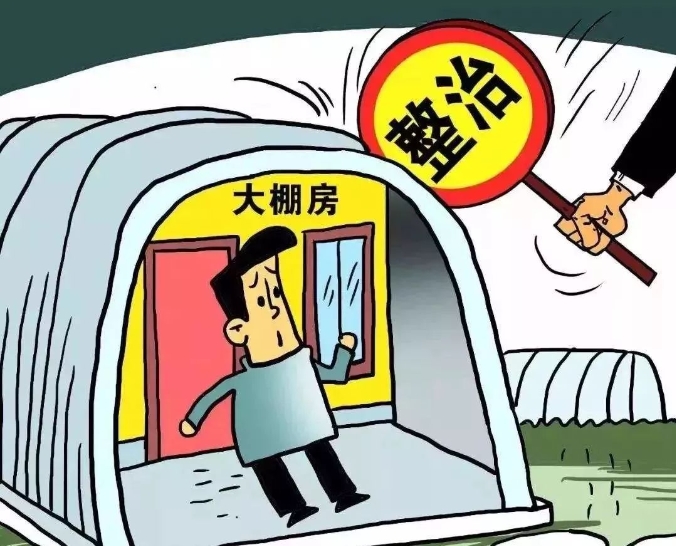 微信截图_20241107081341