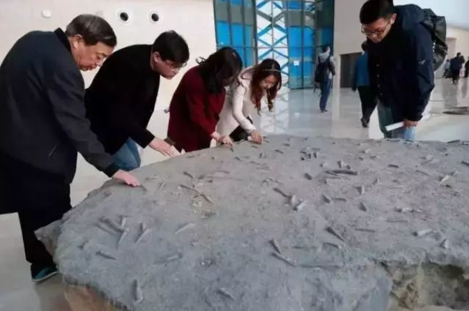 微信截图_20241108151342