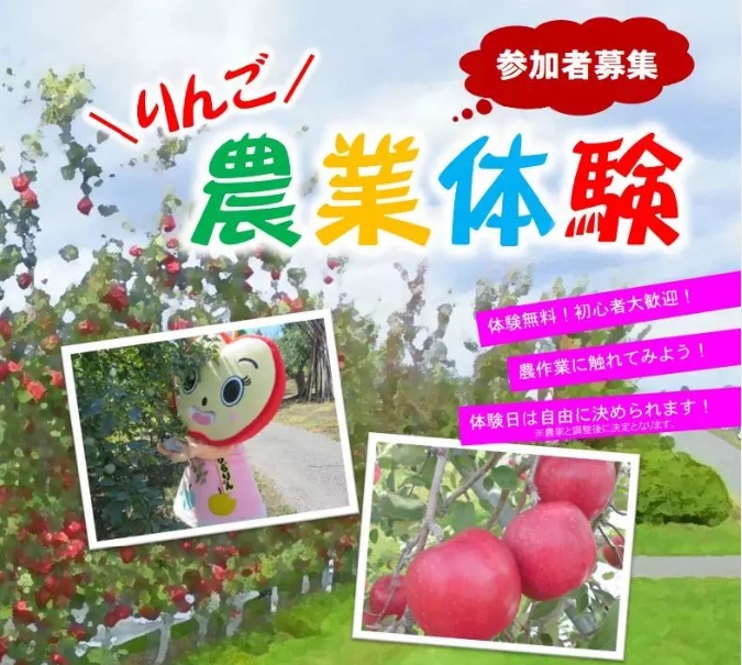 微信截图_20241111145940