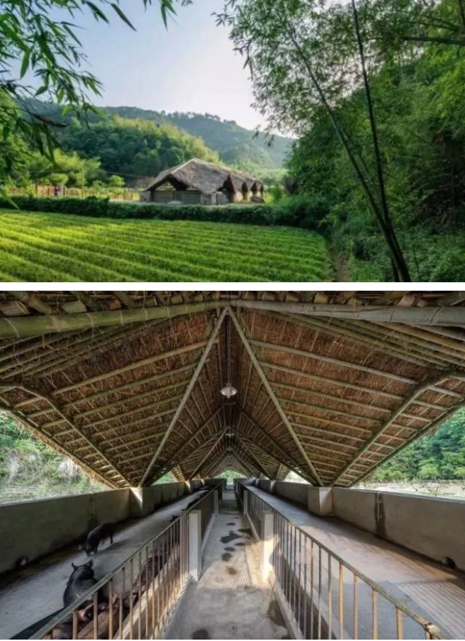 微信截图_20241111101550
