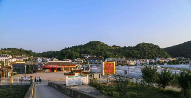 微信截图_20241111105004