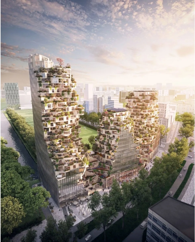 微信截图_20241112082901