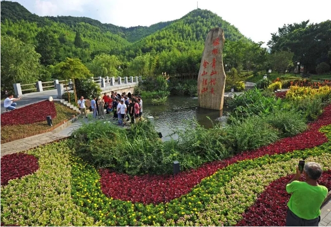 微信截图_20241112094525