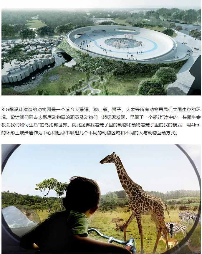 微信截图_20241112083051