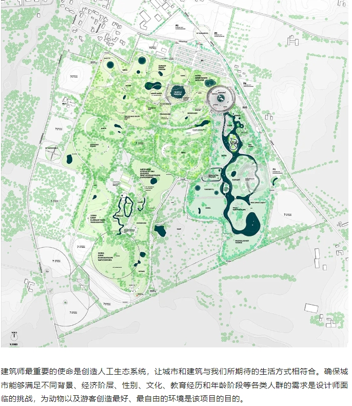 微信截图_20241112082945