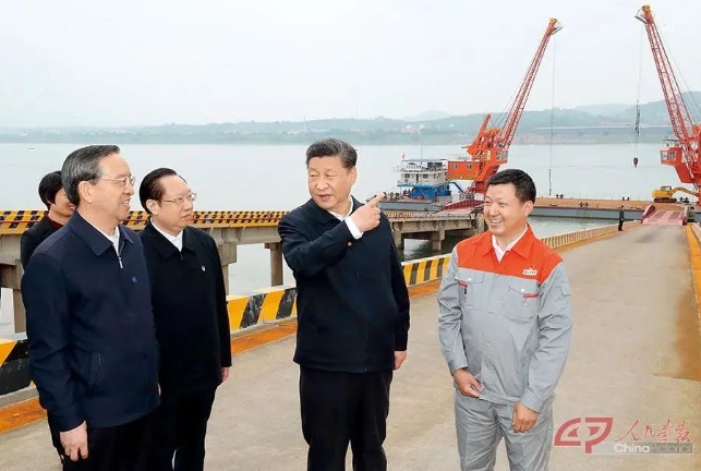 微信截图_20241112085458