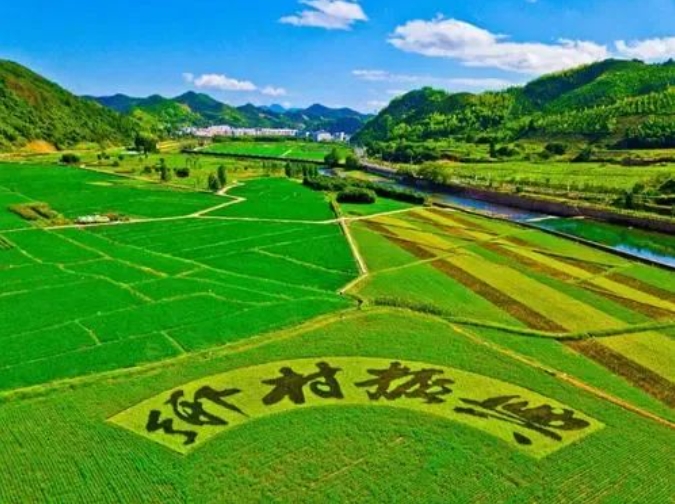 微信截图_20241112093137