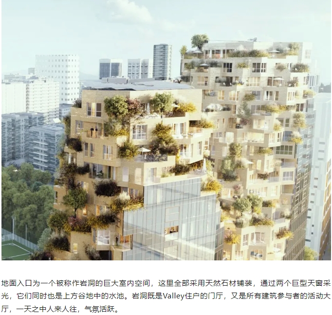 微信截图_20241112082800