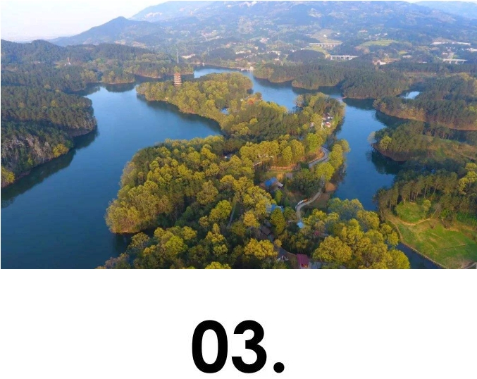 微信截图_20241112080851