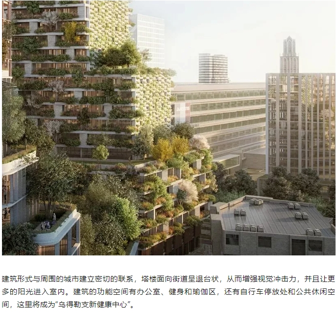 微信截图_20241112082132