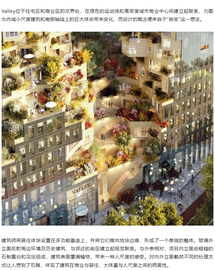 微信截图_20241112082654