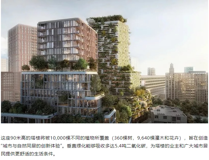 微信截图_20241112082028