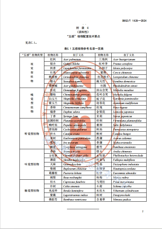 微信截图_20241120083622