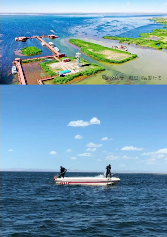 微信截图_20241205092757