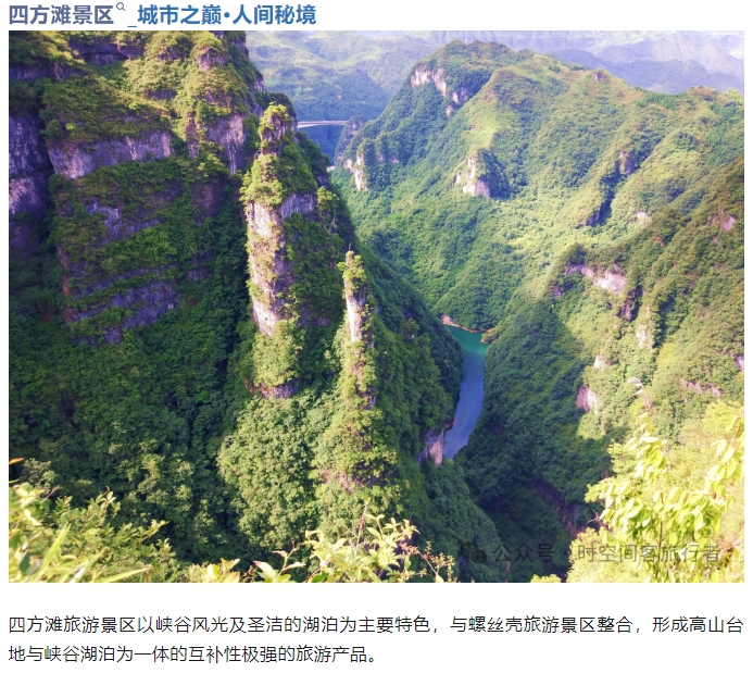 微信截图_20241206084803