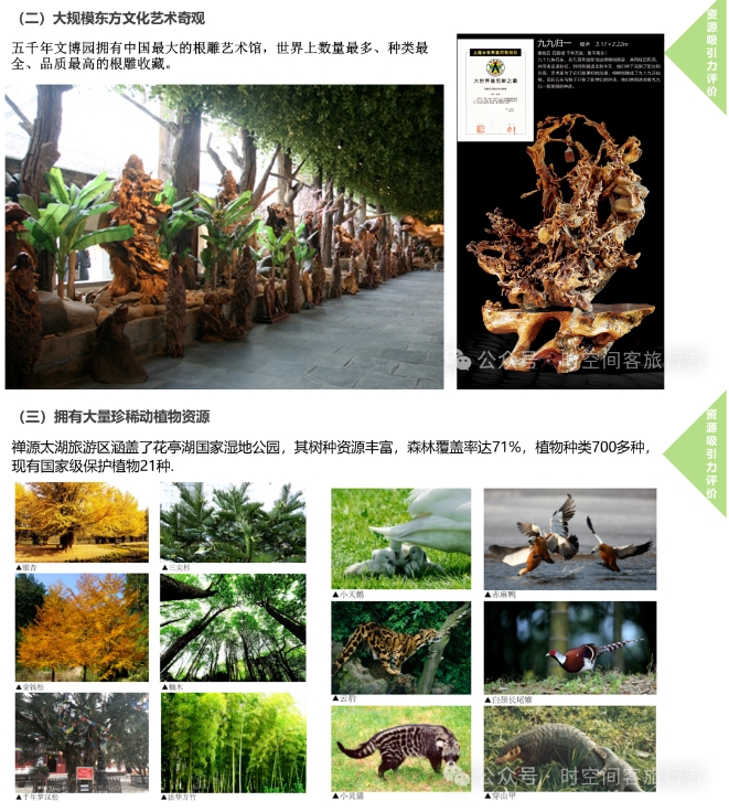 微信截图_20241206085946