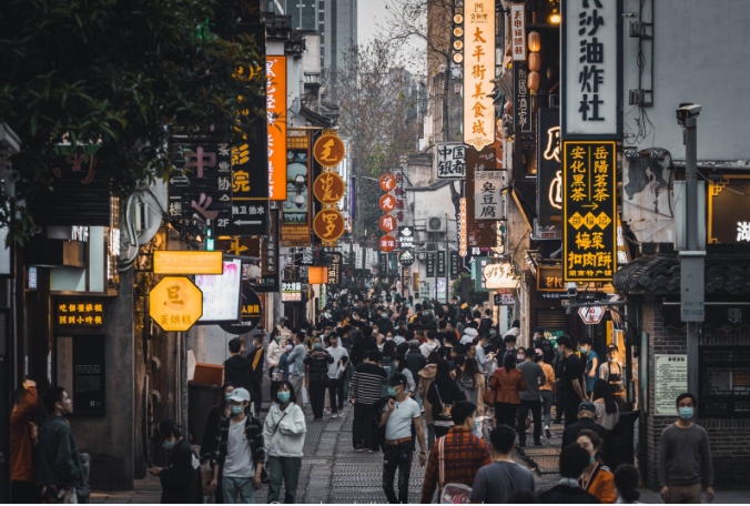 微信截图_20241206094705