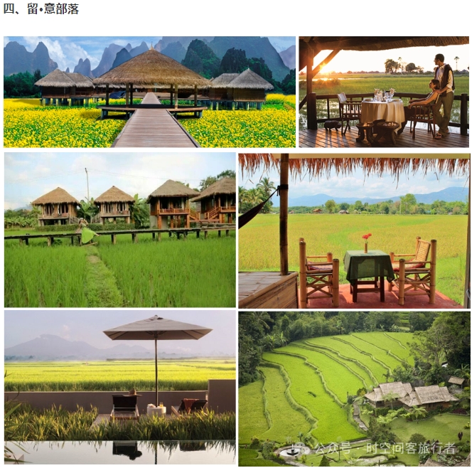 微信截图_20241210084507