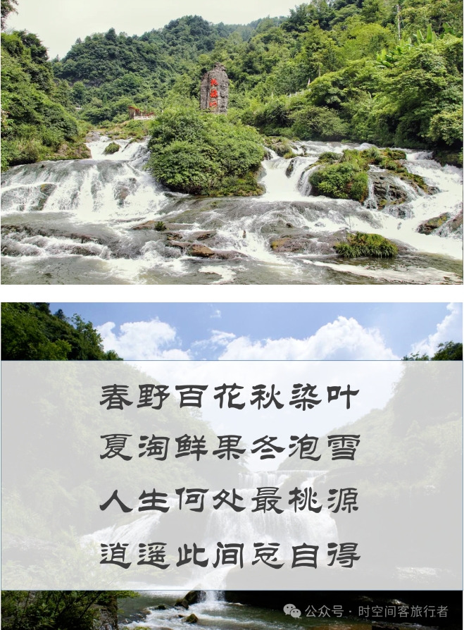 微信截图_20241223101630