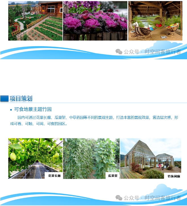 微信截图_20241225090633