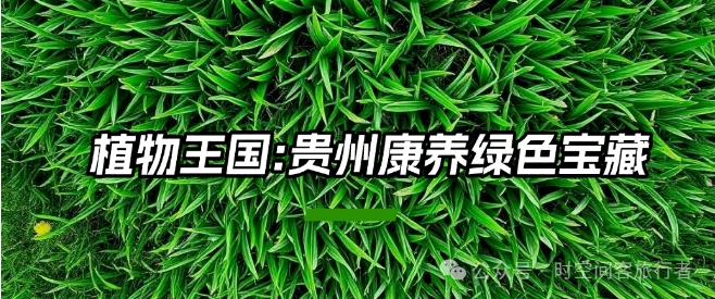 微信截图_20250120154522