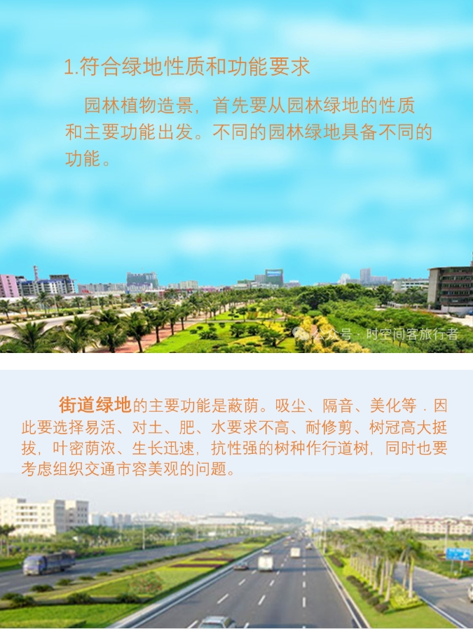 微信截图_20250210093052