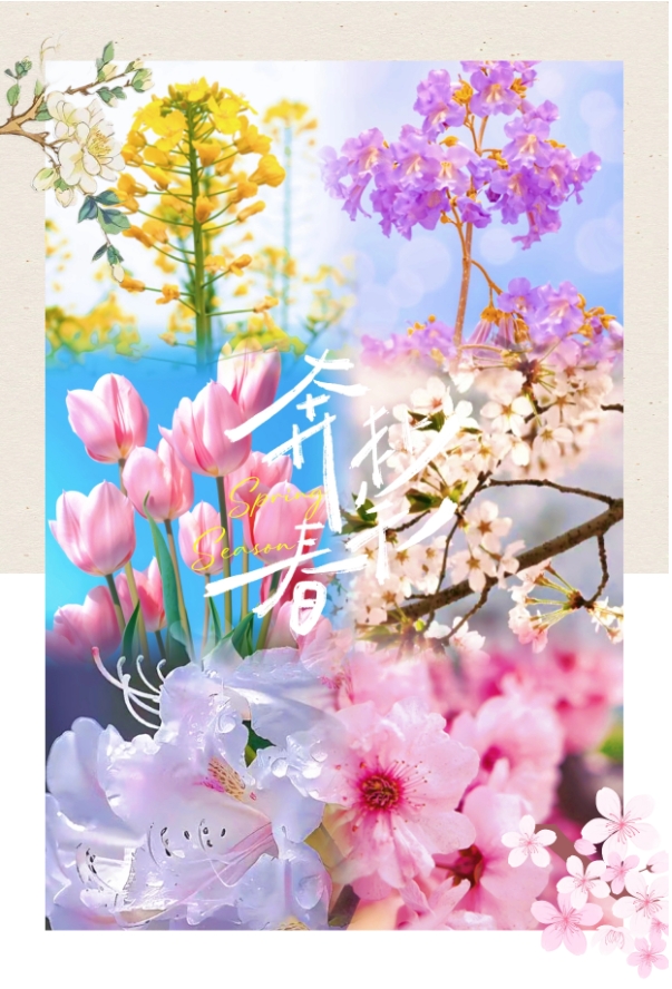 微信截图_20250318092317