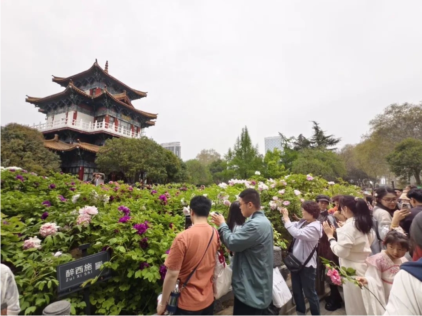 微信截图_20250513083259