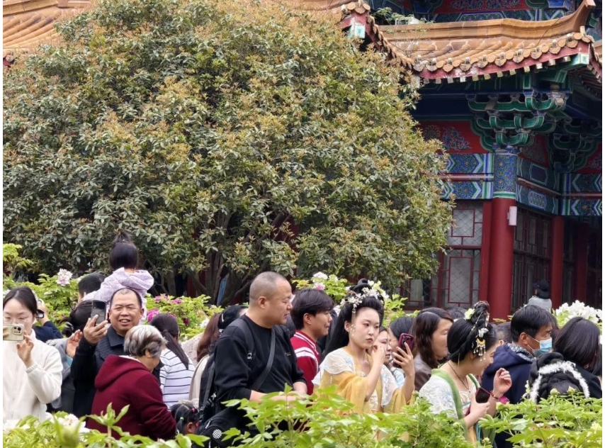 微信截图_20250513083234