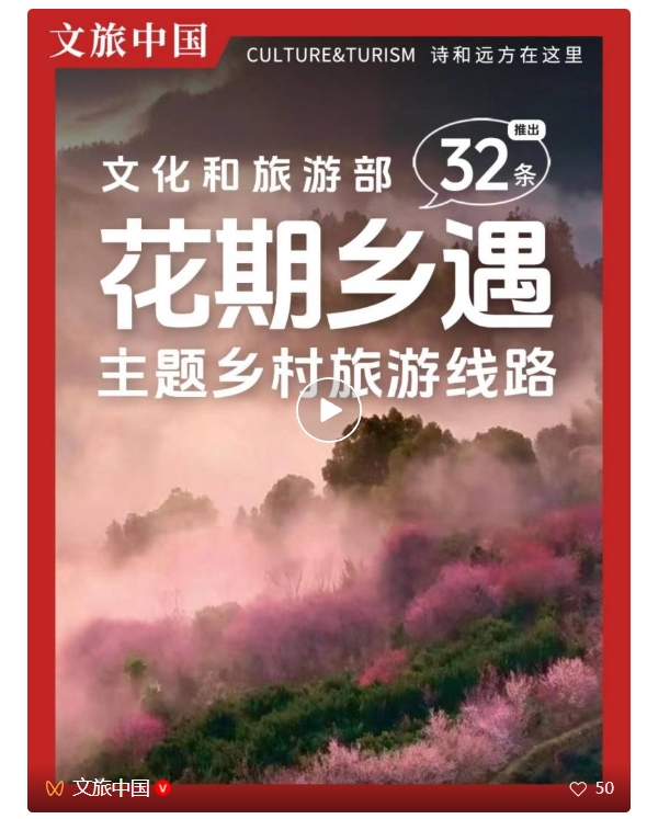 微信截图_20250513082953