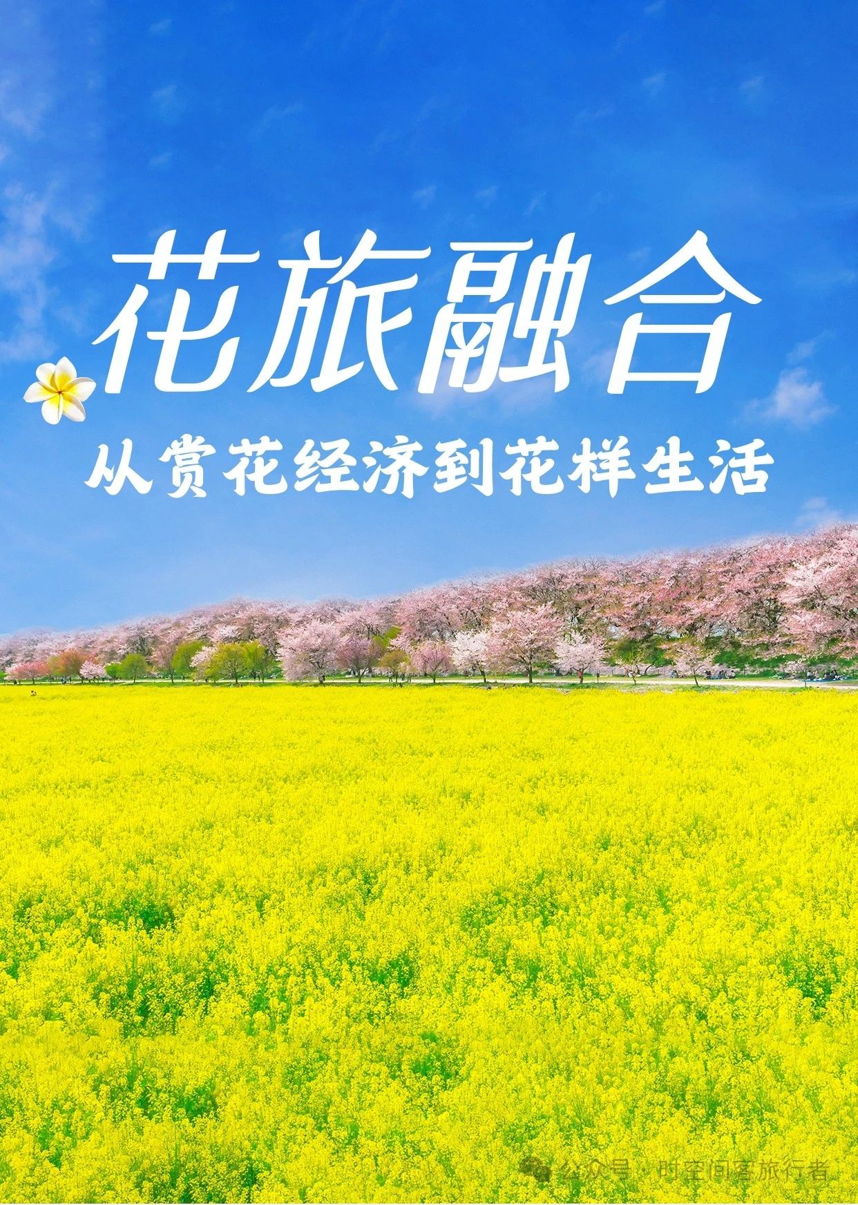 微信图片_20250513082914