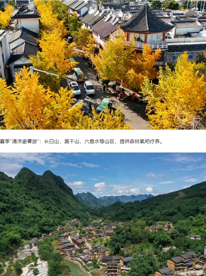 微信截图_20250529081350