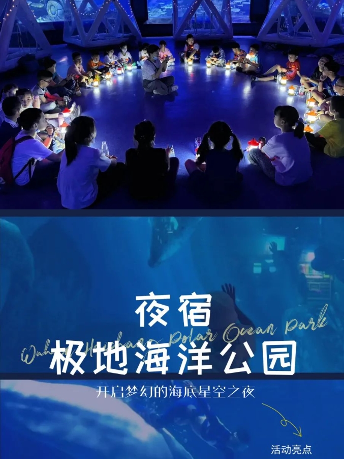 微信截图_20250603083528
