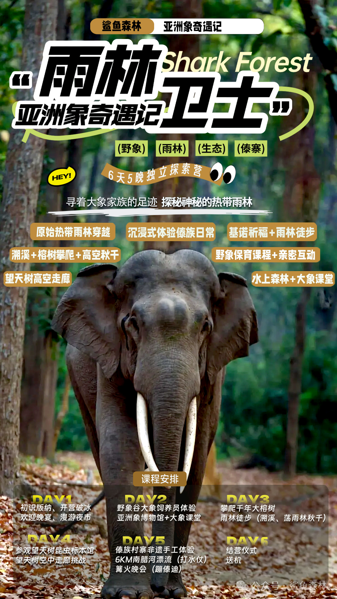 微信图片_20250603083424