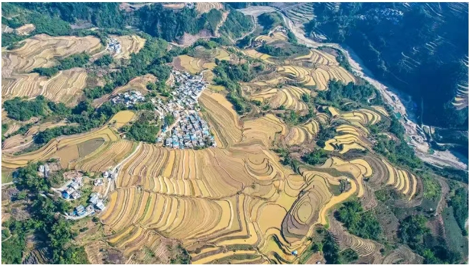微信截图_20250620095703