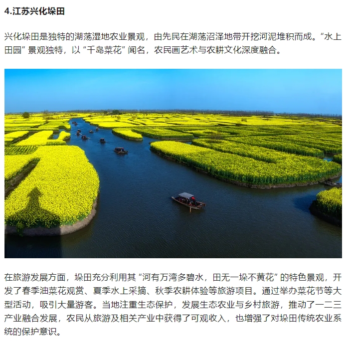 微信截图_20250620095938