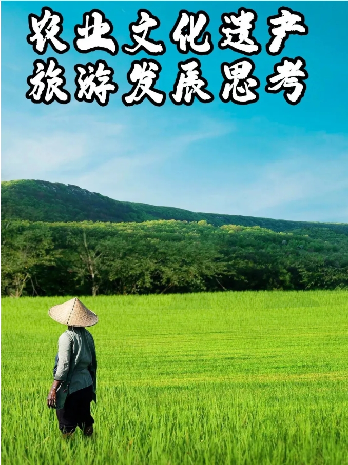 微信截图_20250620095627