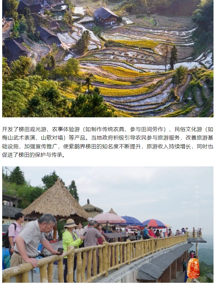 微信截图_20250620095915