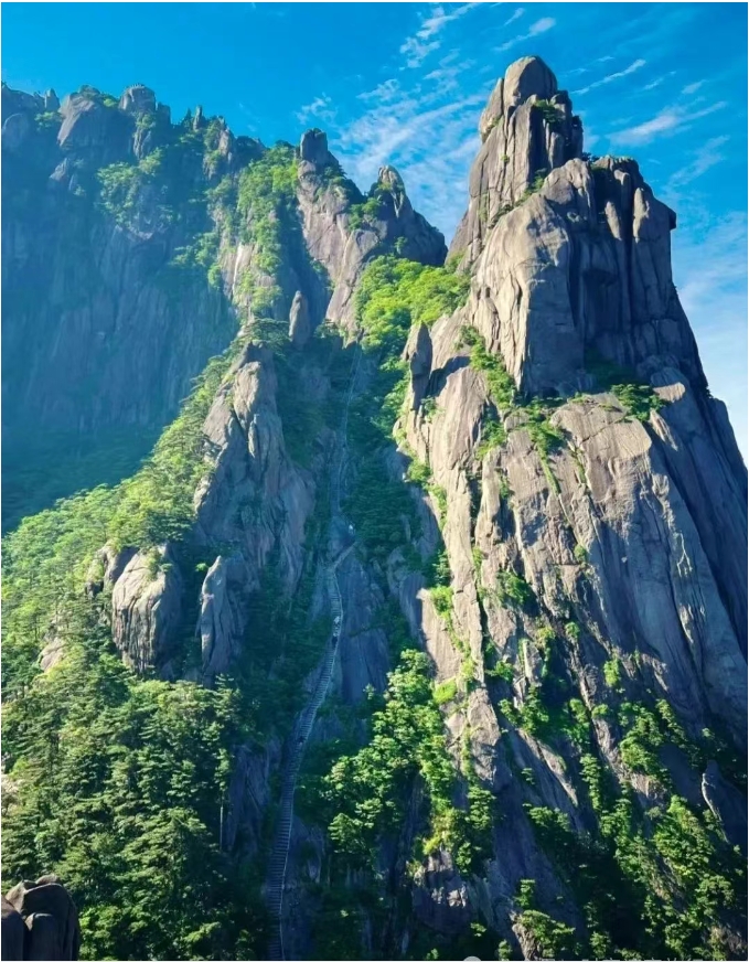 微信截图_20250620100313