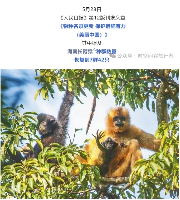 微信截图_20250625142635
