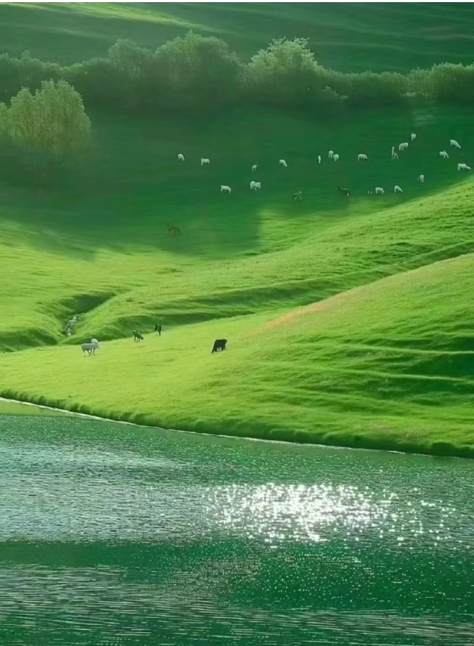 微信截图_20250625145337